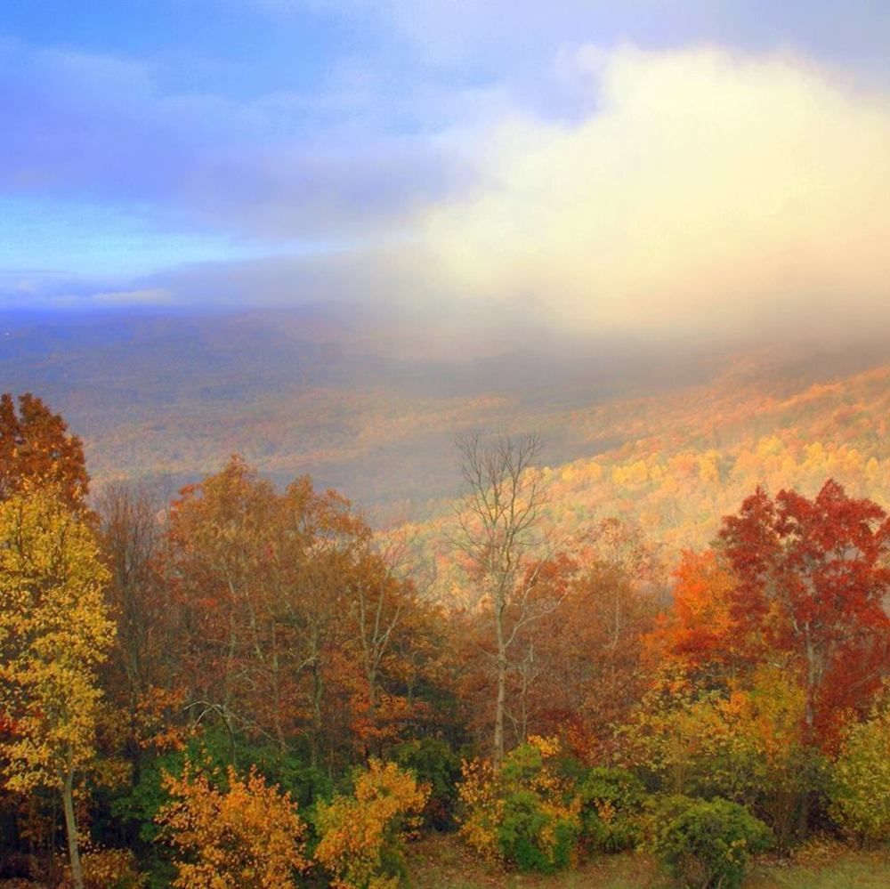 Amicalola Falls State Park And Lodge Dawsonville Exteriör bild